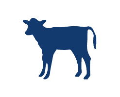 Newborn Calf Serum New Zealand