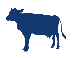 Adult Bovine Serum New Zealand