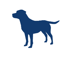 Pet Nutrition Auckland BioSciences New Zealand