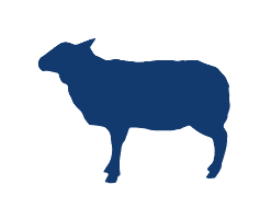 Other Species Serum New Zealand