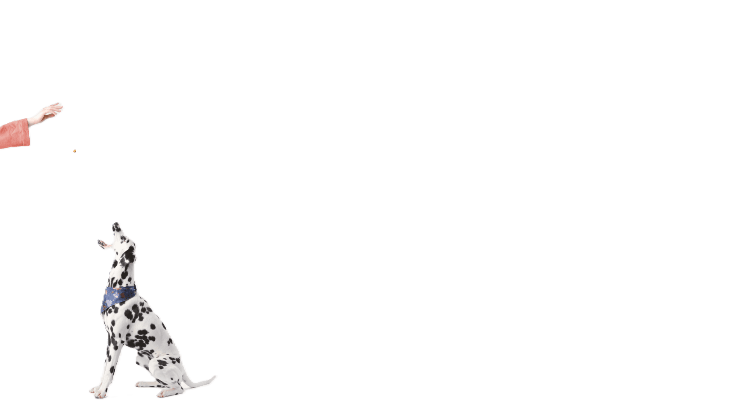 Pet Nutrition Auckland BioSciences New Zealand