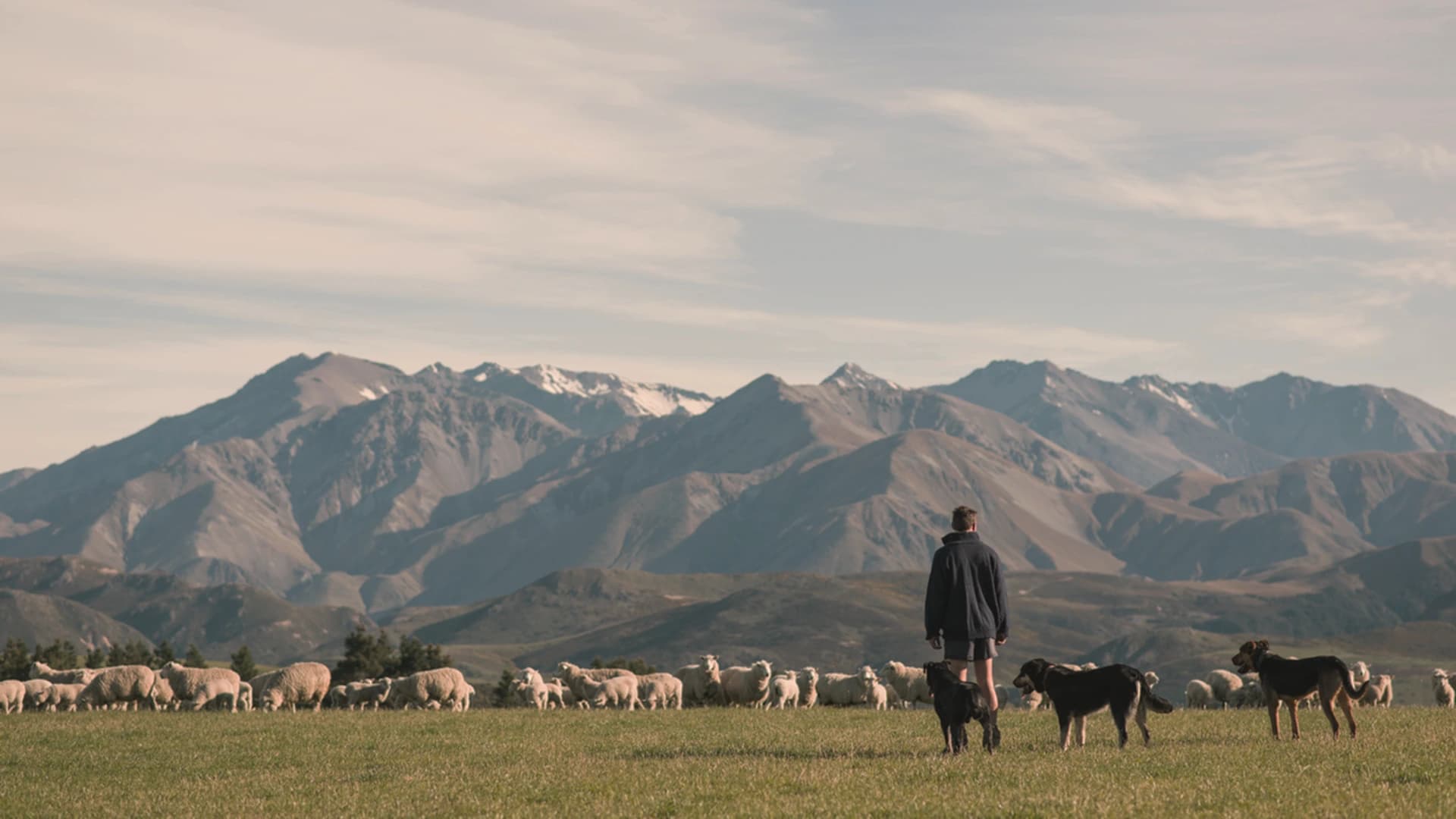 Auckland BioSciences A Healthier Future Through Innovation