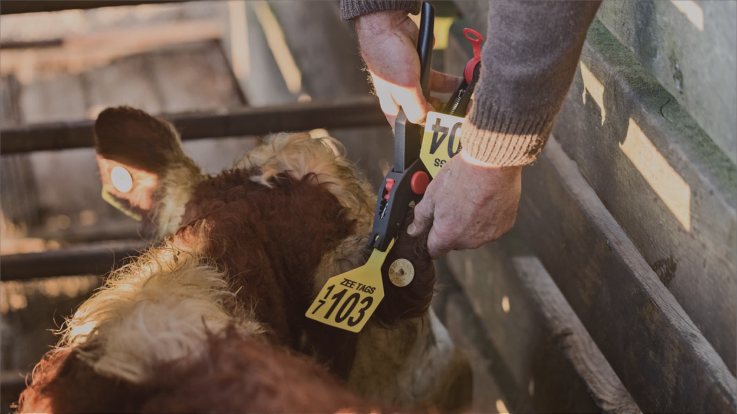 Traceability & Processes