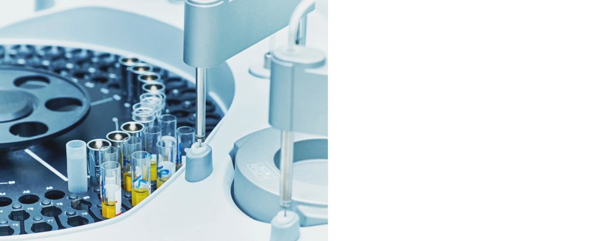 No Vaccination Antibodies
